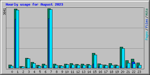 Hourly usage for August 2023